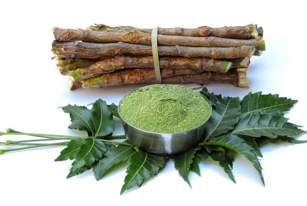 Neem leaves with powder and twigs on white background