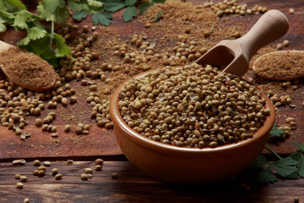 Coriander or Cilantro Leaves Seeds and Powder in preparation to joining ingredients for spicy recipe on rustic background